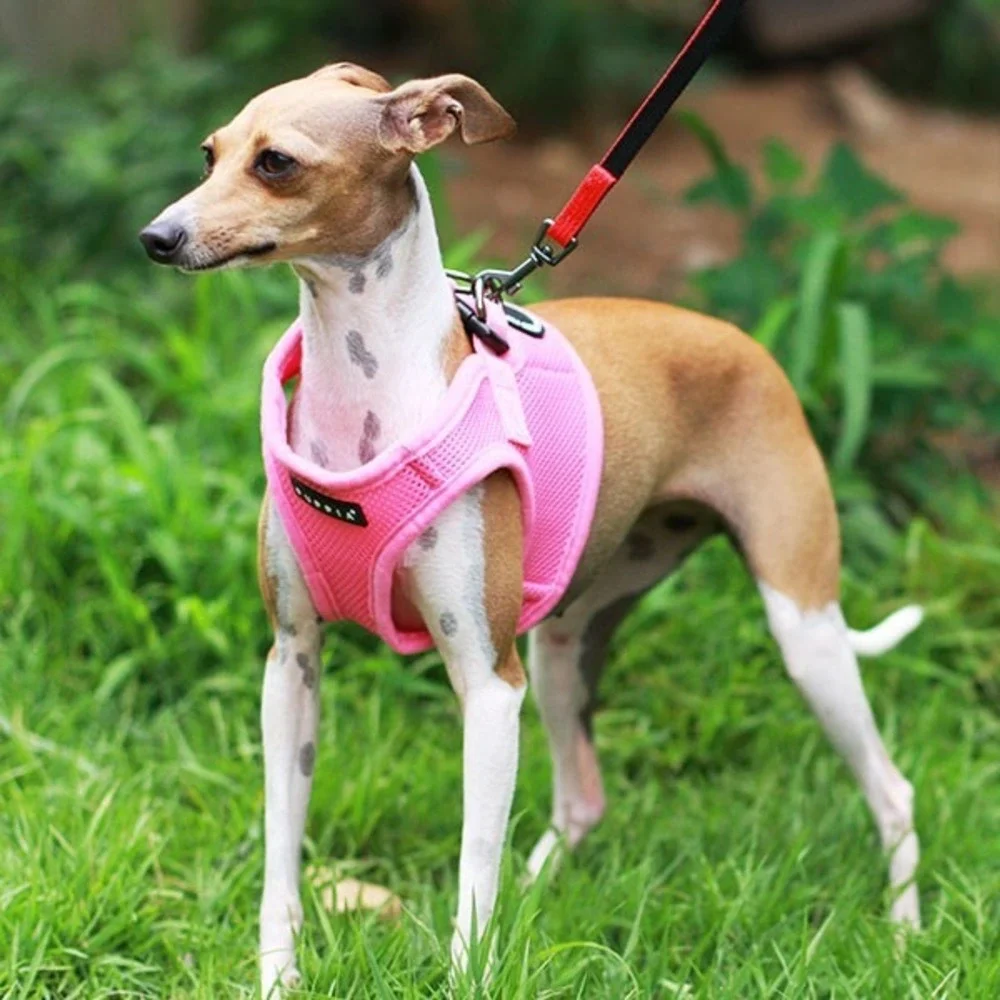 NWT Puppia‎ Soft Vest Harness B Size 3L/3XL Pink Dog Harness Mesh SKU: PAHA-AH30
